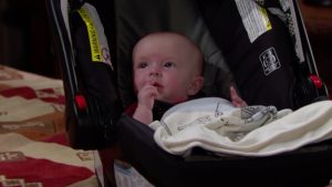 A famished baby Douglas contemplates eating his own fist for lunch